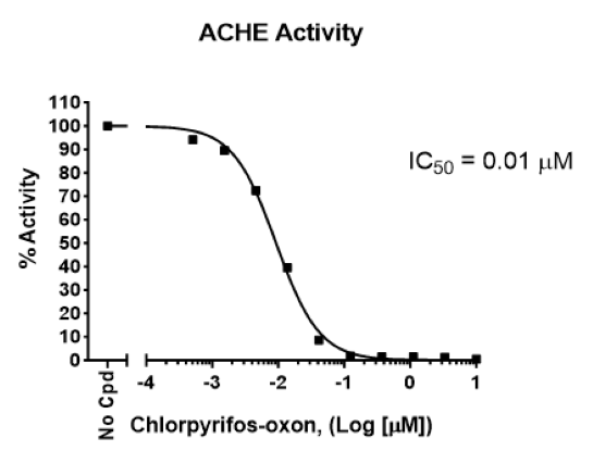 67091668a0536.png 67091668a0536.png