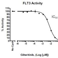 BPS Bioscience热门检测试剂盒