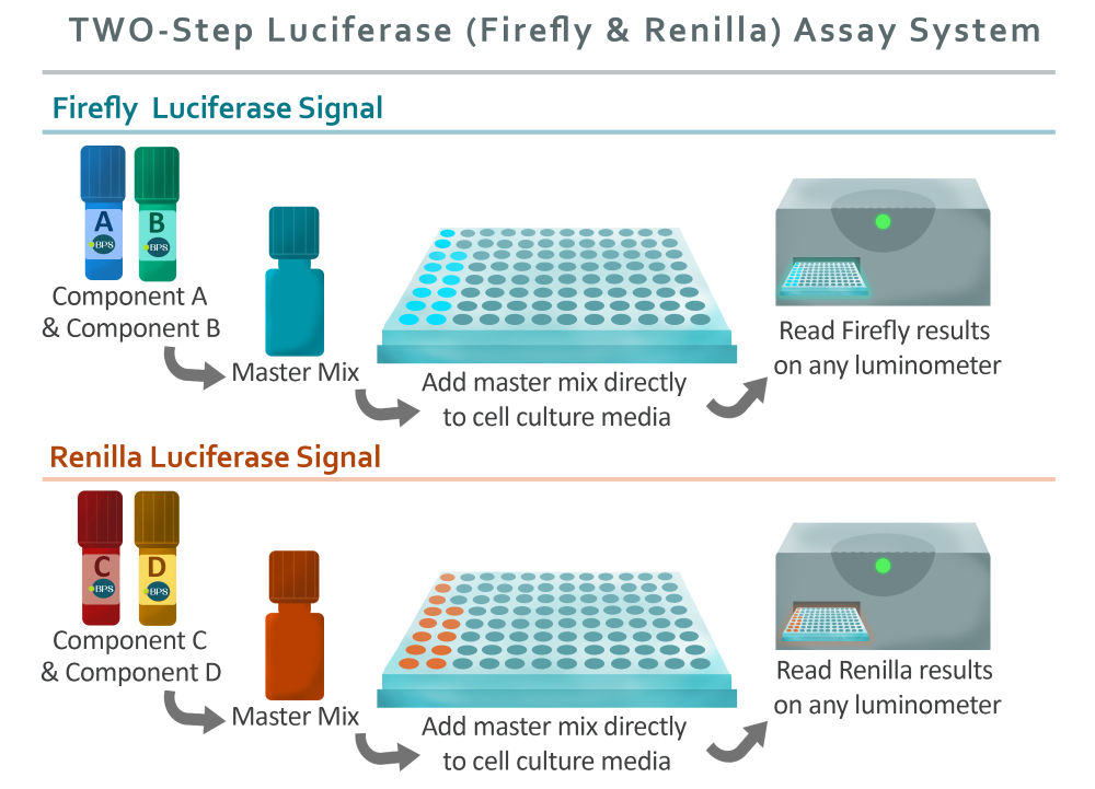 670917b422dd3.png 670917b422dd3.png