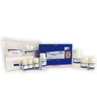 FastDNA® 土壤DNA提取试剂盒