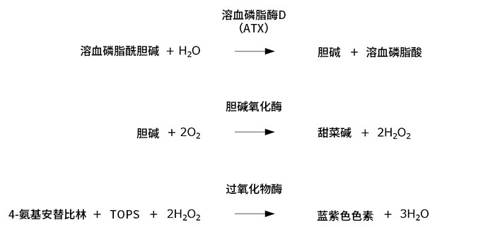 产品细节图片2