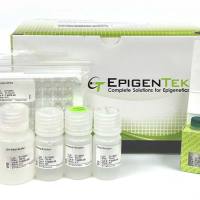 Epigentek甲基化试剂盒系列
