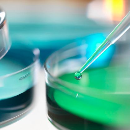 无内毒素质粒大提试剂盒