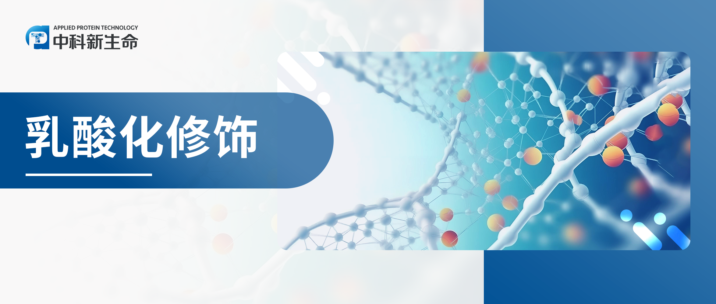 国自然热捧！乳酸化机制大起底2——乳酸化调控蛋白稳定性