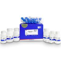 SPINeasy™ 质粒中提试剂盒