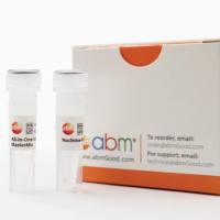 ABMGoods一步法反转MasterMix试剂盒（CAT#G592）