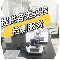 类骨质亚甲基蓝-碱性品红染色(硬组织切片)