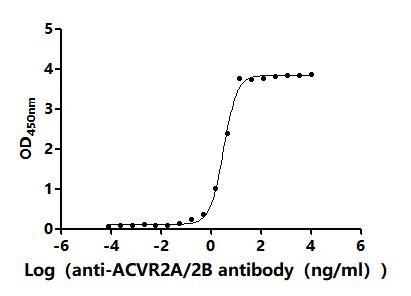 High Purity Validated of CSB-MP623829HU