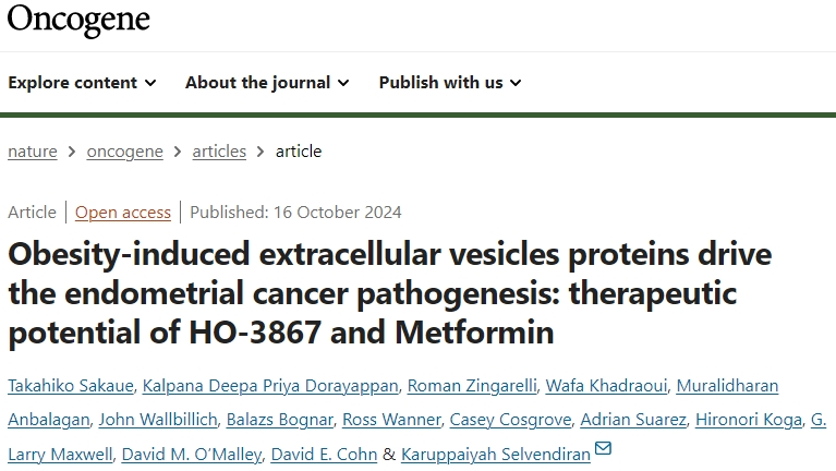 发文真香警告！简直不要太好用！细胞外囊泡新思路-子宫内膜癌的机制研究与靶向疗法，发文轻松拿捏！