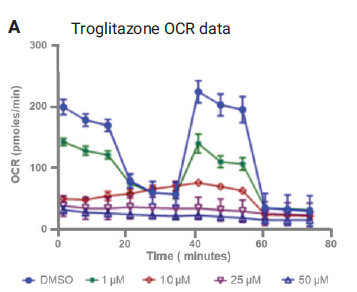 日益凸显的线粒体毒性评估在药物研发中的重要性