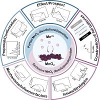 空心二氧化锰（H-MnO２ ）纳米粒包封转化生长因子-β3（TGF-β3）