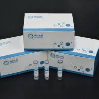 黏病毒抗性蛋白 A 单克隆抗体对