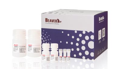 BeaverBeads FFPE DNA提取试剂盒：高效样本前处理