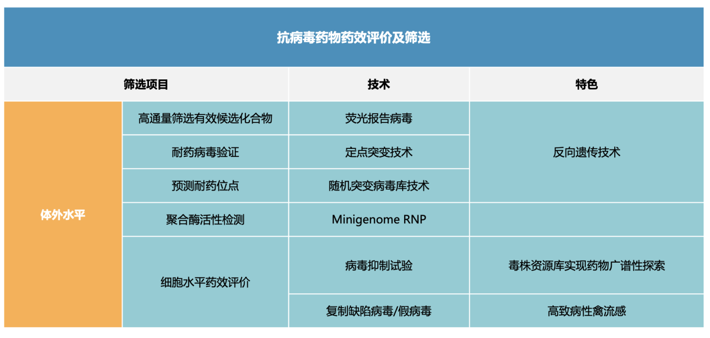 抗流感 CRO 体外细胞和体内动物攻毒验证药效评价服务