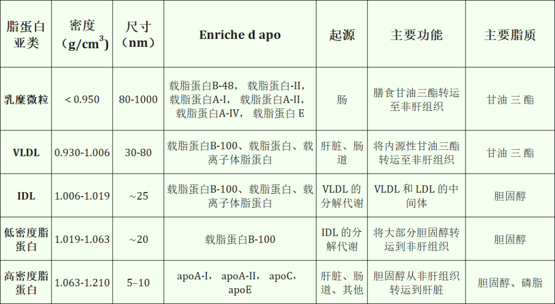 【Biorbyt科研专题】脂蛋白