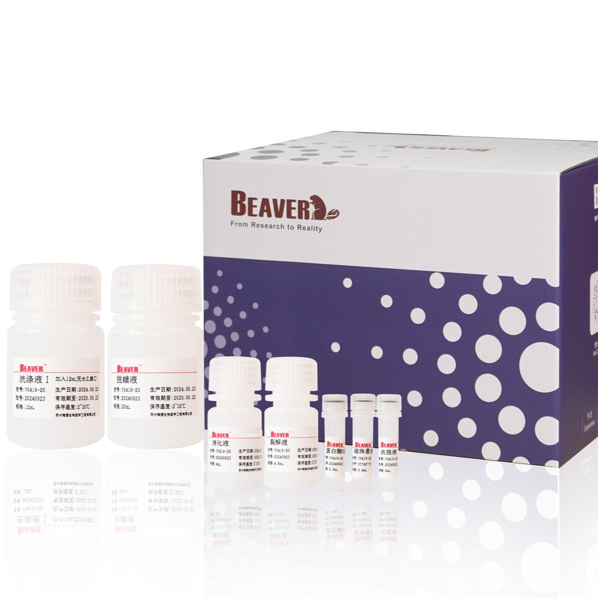 BeaverBeads® FFPE DNA Kit