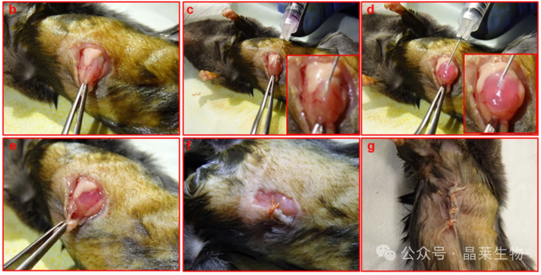 1731316615658041.png 640_wx_fmt=png&from=appmsg (1).png