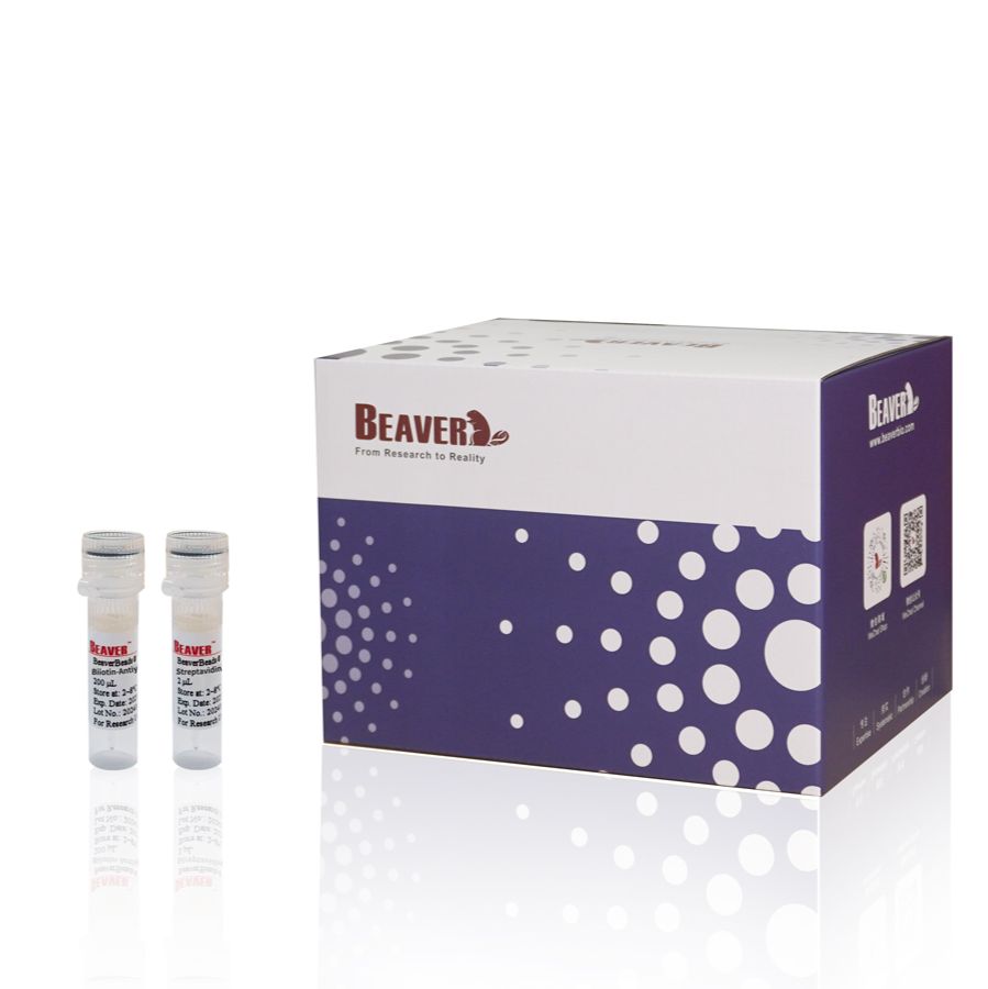 人CD4+ T细胞分选试剂盒(阴选法)