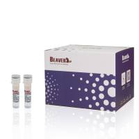 人CD4+ T细胞分选试剂盒(阴选法)