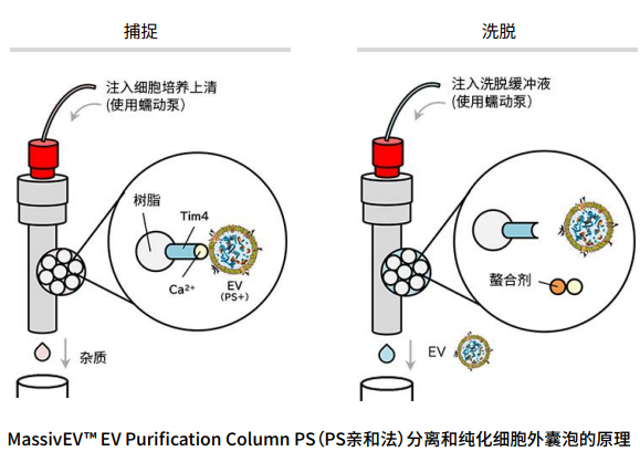 【双十一大促】外泌体研究福利送不停!