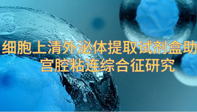 IF=10.6| Umibio细胞上清外泌体提取试剂盒（UR52121）助力客户宫腔粘连综合征研究！
