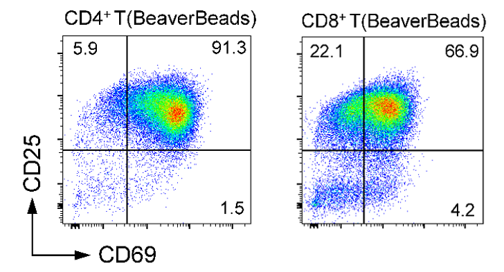 人CD4+ T细胞分选试剂盒(阴选法)