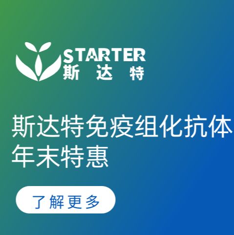 斯达特免疫组化抗体年末特惠