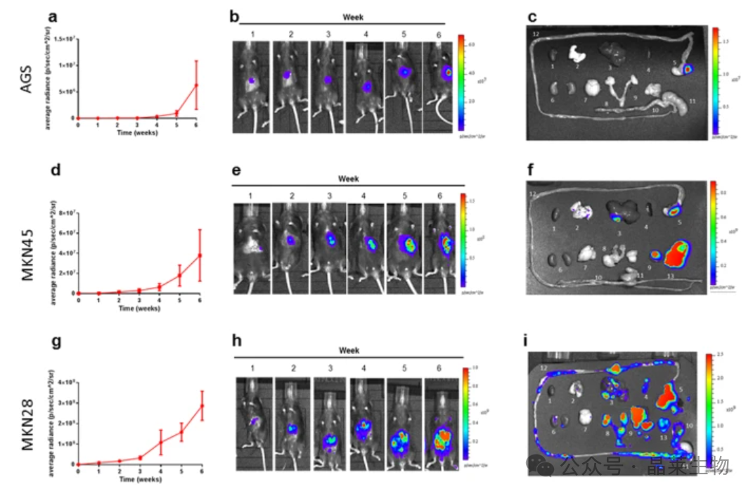 1731316623732204.png 640_wx_fmt=png&from=appmsg (2).png