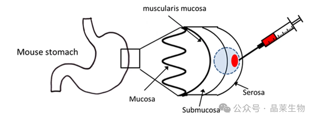 1731316609497213.png 640_wx_fmt=png&from=appmsg.png