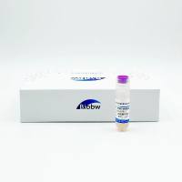 牙龈卟啉单胞菌	 