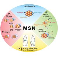 氨基化的介孔二氧化硅纳米粒被透明质酸（HA）修饰