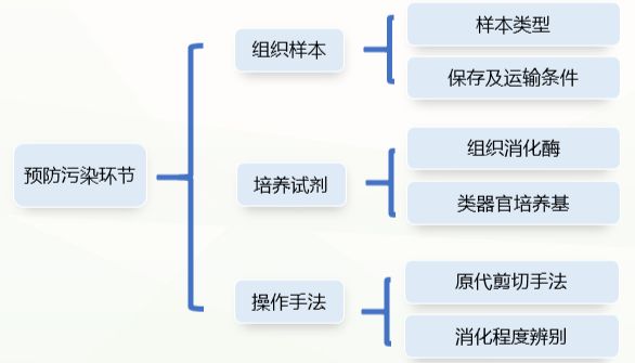 类器官原代培养无菌预防及细胞房除菌攻略（二）