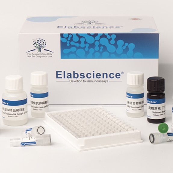 Mouse IL-6(Interleukin 6) ELISA Kit
