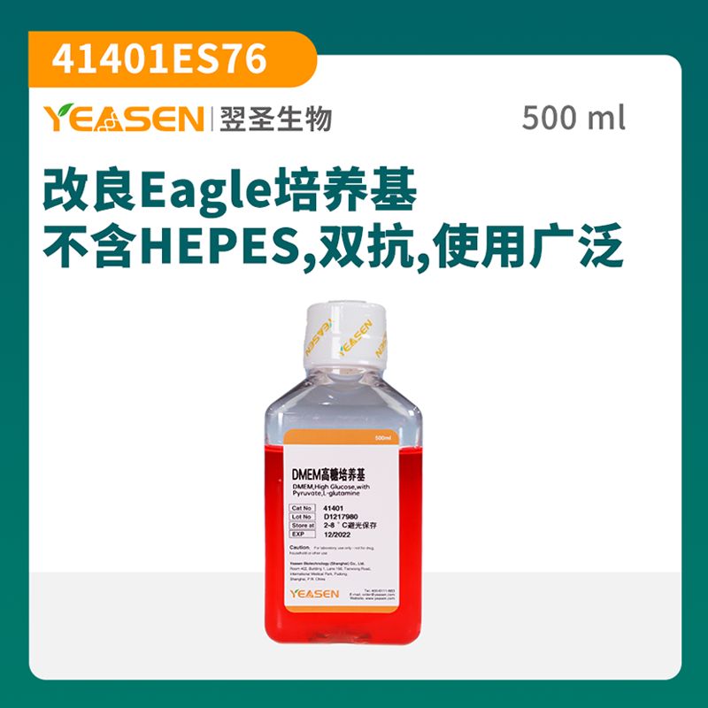 DMEM高糖培养基(含L-谷氨酰胺 不含HEPES,双抗)