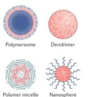 壳聚糖纳米粒被叶酸（FA）-二乙 胺乙基（DEAE）-聚乙二醇（PEG）修饰