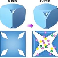 普鲁兰纳米粒包封淫羊藿苷（ICA）