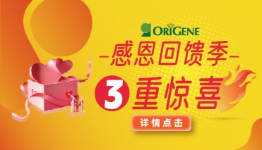 年终感恩回馈季·三重惊喜