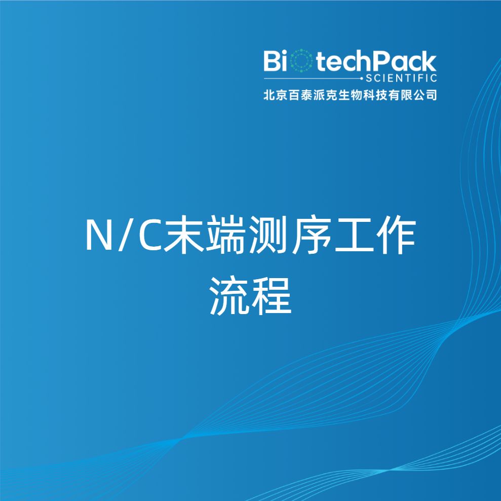 N/C末端测序工作流程