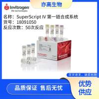 SuperScript™ IV 第一链合成系统，invitrogen货号18091050