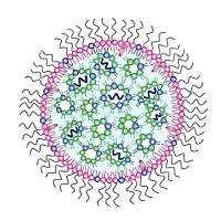 LNP纳米粒包封辛伐他汀(SIM)和siRNA