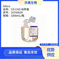 CD CHO 培养基，Gibco货号10743029 
