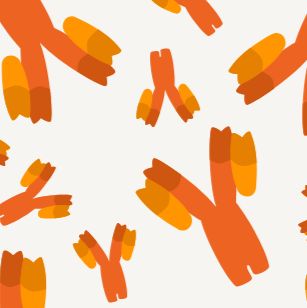 Addgene 原装进口抗体 #198001