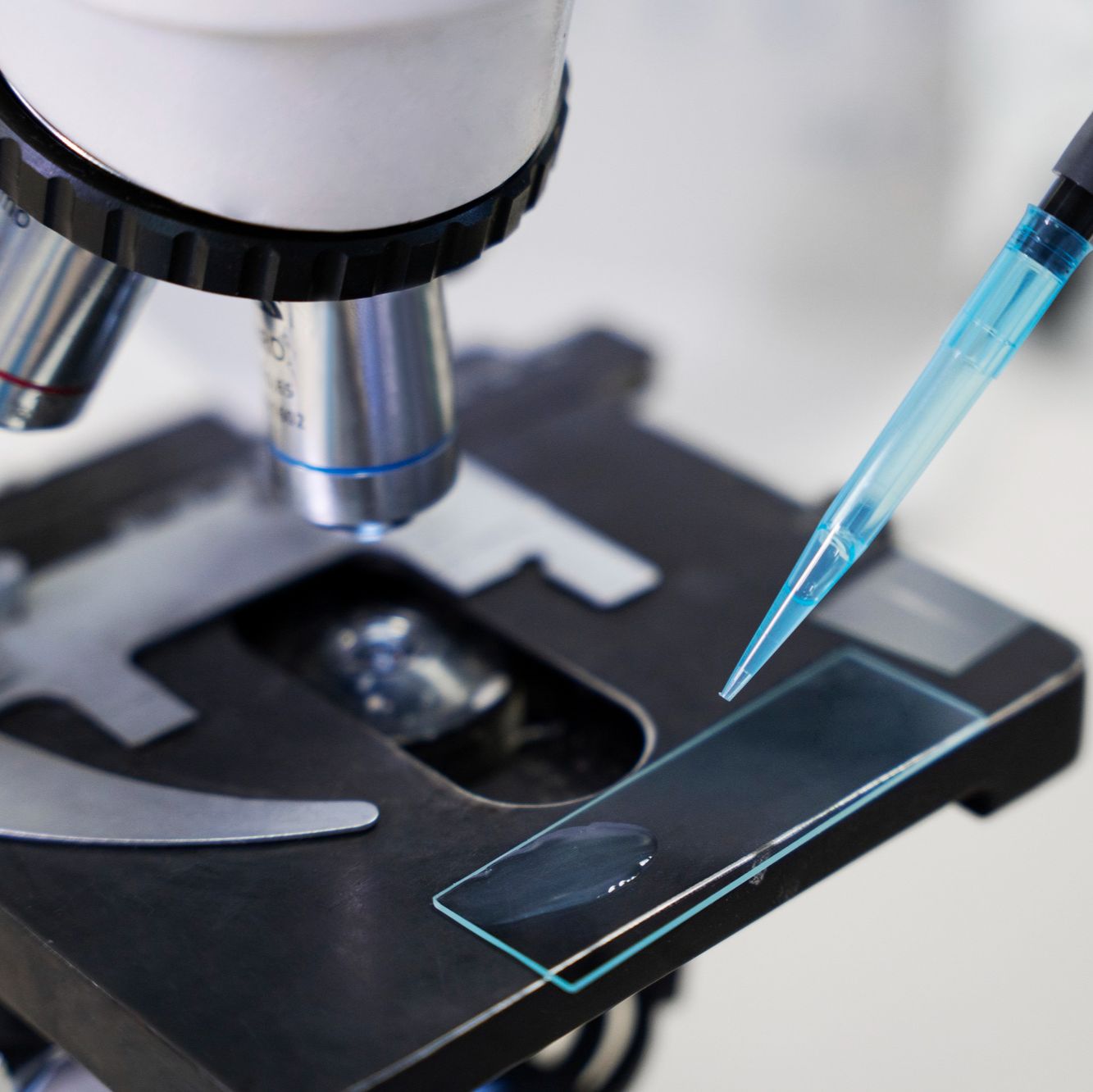 细胞生物学技术服务-实验外包