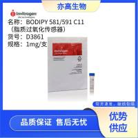 BODIPY™ 581/591 C11（脂质过氧化传感器），Invitrogen货号D3861