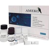 B1(AFB1)ELISA kit，DRE61105-96T