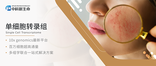 Nat Commun｜单细胞发高分：中南大学湘雅医院力作，揭秘酒糟鼻 “幕后黑手”！