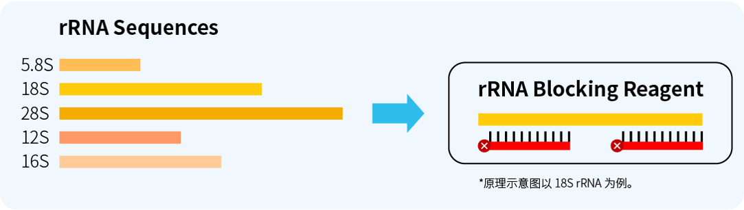 精准分析 microRNA 与基因调控，去除 rRNA 干扰，就用它！