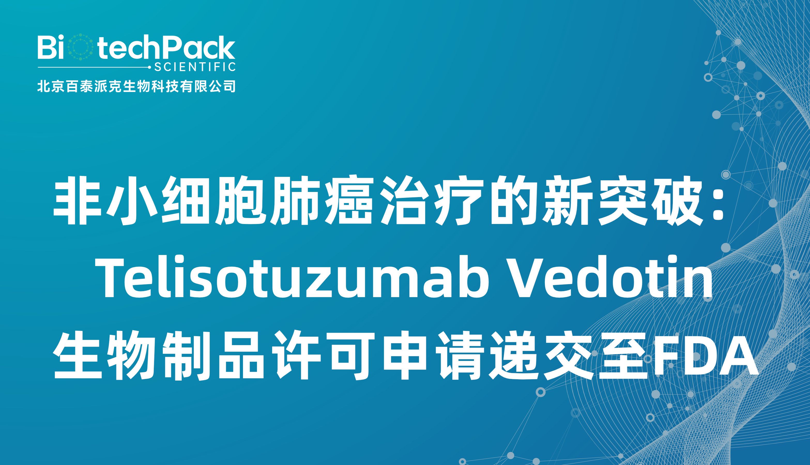 非小细胞肺癌治疗的新突破：Telisotuzumab Vedotin生物制品许可申请递交至FDA