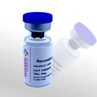 Wissen 重组人玻连蛋白 Vitronectin CT-819C 10ug