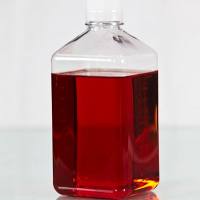 马血清 Horse Serum